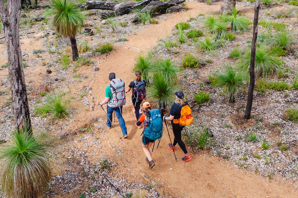 A group of hikers with backpacks walking along a trail in Australian bushland with native flora.